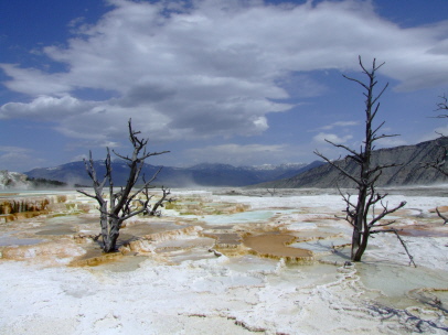 Mammoth Hot Springs Terraces