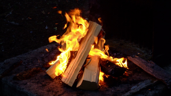 Das all abendliche Lagerfeuer / Olympic National Park