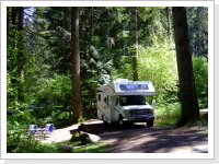 Seaquest State Park, Washington