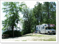 Ocala National Forest, Florida