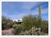 Organ Pipe Cactus National Monument, Arizona