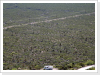 Oliver Lee Memorial State Park, New Mexico